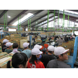 大根の選別を見学しました