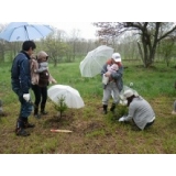 みんなで植樹した苗木が赤ちゃんと一緒にすくすく育ちますようにと願いを込めて植えました！！