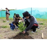 やさし～く、やさし～く苗木も同じ赤ちゃんだもんね！