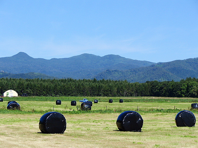 �\�[�L�b�v�x