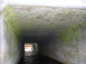 天井の上は道路 天井の上は道路