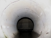 この中にコウモリがいるはず この中にコウモリがいるはず