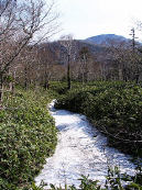 パウシベツ林道終点 パウシベツ林道終点