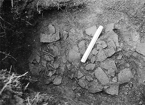 遺物出土状況 遺物出土状況