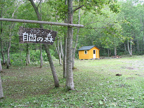 キャンプサイト キャンプサイト