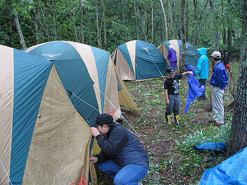 こんな感じ こんな感じ