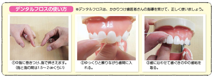 デンタルフロスの使い方