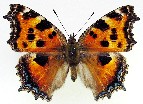 qIhV`E