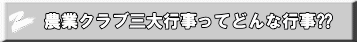 農業クラブ三大行事ってどんな行事⁇