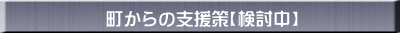 町からの支援策