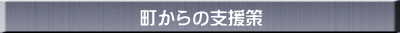 町からの支援策